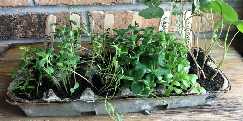 Get Ready, Get Set…..Plant!