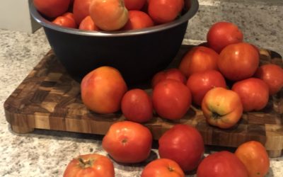 Too many tomatoes and not enough time to can them? Life hack – puree and freeze them!